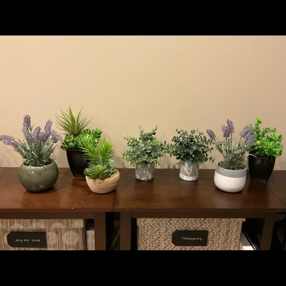 Faux Lavender or Succulents in Flower Pots 🪴
